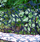 Fall Bench Outside