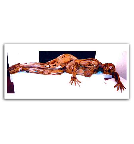 Driftwood Woman